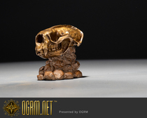 Orgrima Bronze Seiko Apocalypse Sea Otter Skull Model Sea otter-Enhydra lutris