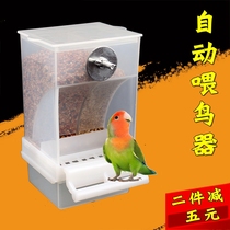 Tiger leather parrot automatic feeder anti-splash and anti-Sardinia feeding bird with food box feeding the bird with the bird-phoenix-pineapple 8-Gothic trough