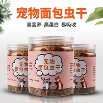 Bread worm dry parrot bird grain snacks staple grain hamster dragon cat small snacks feed yellow pink worm dry bird food 550ML