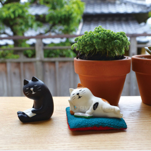 日本 杂货Decole 瞌睡三毛猫看书 考试前夜 co