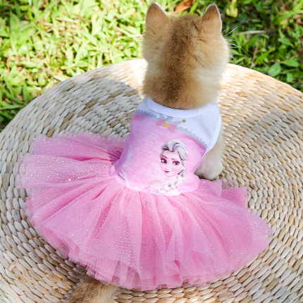 Pet skirt princess dress dog cat spring and summer clothes pet French fight hairless teddy Bichon Pomeranian
