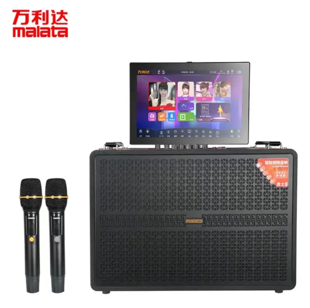 Vanlida M 9075A 9076A with display screen video Outdoor K song speaker 11 trumpets 10-inch double microphone-Taobao