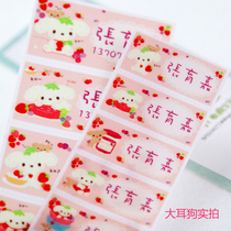 Multi-specification sewn hot dual-purpose name patch cloth kindergarten name sewn waterproof washable pink pig little sister name sticker