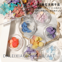 Nail art natural dried flower decoration Japanese real flower three-dimensional petal ins material mixed flower nail patch decoration