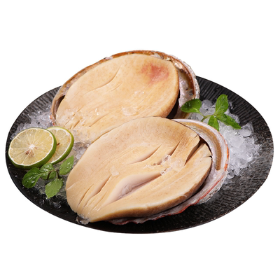 黄金鲍鱼鲍螺鲍鱼干新鲜冷冻水产超大冻煮特大加热即食小鲍鱼捞饭