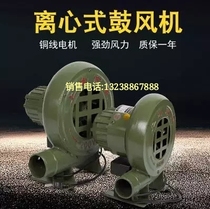 Cast iron blower CZR 200W 250W 370W 550W 750W 1 1KW 1 5KW 2 2KW