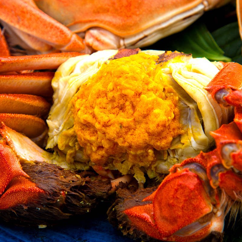 顺丰包邮山东特产东营黄河口大闸蟹鲜活公35两母2.5两8只送2只