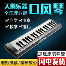 Swan mouth organ 37 keys for primary school students Children young children beginners Professional performance grade 32 keys mouth organ blow pipe
