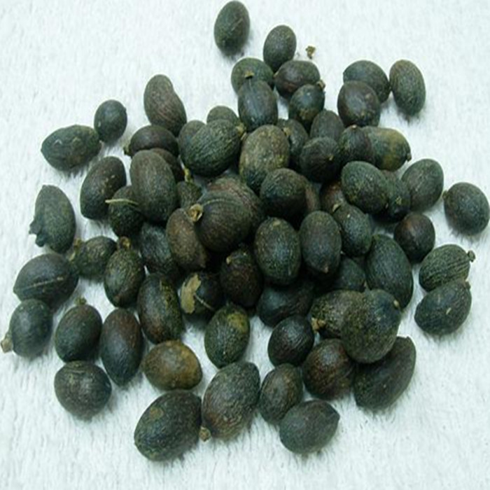 中药材野生葵扇子 葵扇籽 葵树籽 葵树子 蒲扇子 蒲葵子500克包邮