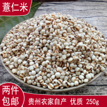 Two new goods on the market fresh Guizhou big rice seed coix seed grain coarse grain cooking porridge soup 250g