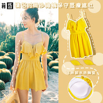 Lidai swimsuit female one-piece backless strap to cover the belly thin sexy small chest gathered flat-angle super fairy bathing hot spring swimsuit