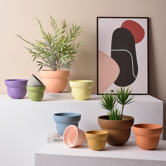 Nordic flower basin INS style new models of simple retro style colorful poly -meat potted green plant cactus abstract indoor circle Nordic flower basin INS style new models of simple retro style colorful poly -meat potted green plant cactus abstract indoor circle