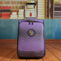 Barney Bag Rat Pull Lever Case 20 Inch Suitcase PU Leather Case Woman Suitcase Don Case Pull Rod Bag