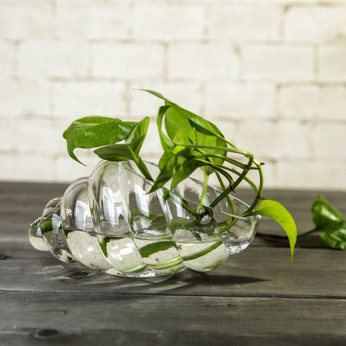 创意海螺形玻璃花瓶透明水培花盆多肉盆绿萝水养植物家用摆件器皿_7折