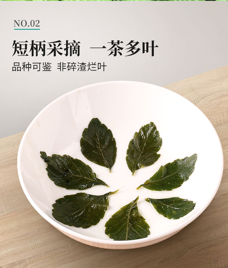 绞股蓝茶正品降三非野生新疆罗布麻