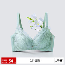 Women's Comfortable Breast Push-Up Adjustable Paracompression Drop-proof Lace Bra Bras