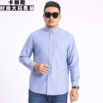 Long sleeve shirt men Spring and Autumn plus fat plus size striped shirt middle-aged men Cotton fat fat casual inch shirt