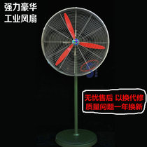 Qifa Powerful Electric Fan 500 650 750mm Industrial Fan Niu Corner Fan Factory Warehouse Large Floor Fan