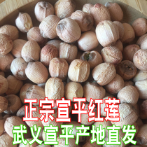 2021 Premium Zhejiang Xuanlian Red lotus seed blood Lotus Xuanping cored red lotus Gonglian cored red lotus 500g sulfur-free