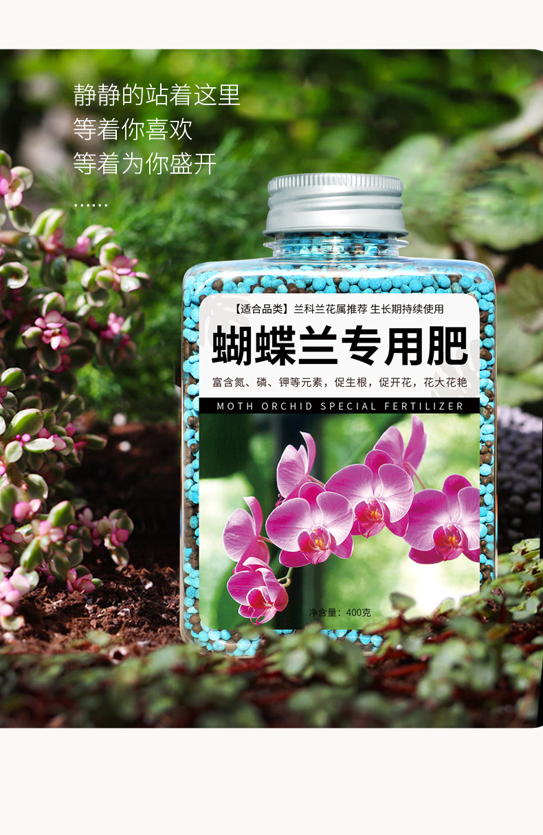 蝴蝶兰肥料专用肥长效魔肥兰花专用缓释肥球兰君子兰腰肥花肥家用