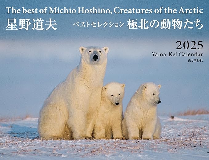 全款星野道夫写真随笔游记森と氷河と鯨極北の動物たちアラスカ風