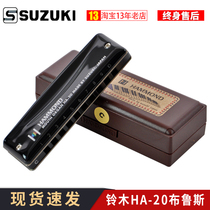 SUZUKI Japan Suzuki Blues Harmonica 10-hole Professional Performance Grade HA20 Student Beginners Ten-hole Harmonica