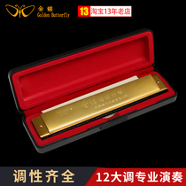 Kingdee harmonica advanced 24-hole polyphonic alto beginner students self-study adult professional performance-level accented harmonica