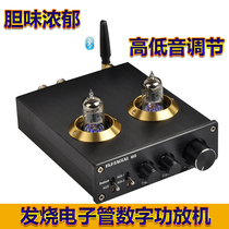 M8 fever HiFi home Bluetooth 5 0 high power bile amplifier tube digital power amplifier high and low adjustment