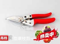 Gardening tools pruning shears hand cutting garden gardening flower scissors fruit tree scissors flowers and trees seedlings pruning branches scissors