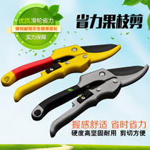 Pulley new labor-saving fruit branch scissors Garden horticultural scissors branch pruning manual scissors fruit tree scissors pruning shears