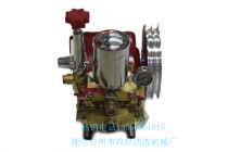 WX--80 type three-cylinder plunger pump high pressure sprayer pressure remote pump for agricultural cleaning