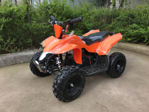 New electric mini four-wheel beach car 36V small arctic electric beach car mini electric small four wheels