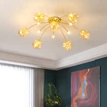 Simple living room starry ceiling lights creative master bedroom room lights light luxury Net red Nordic ins2021 New