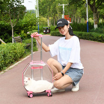 New Pet Out of Pull Rod Box Portable Pet Aviation Box Transparent Cat Bag Pet Double Shoulder Backpack Bubble box