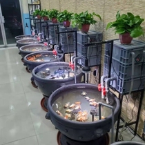 Maprint God Lamp Waterscape Full Spectrum Explosion Algae Burst Moss Green Moss Green Moss Fish Tank Light Goldfish Hair Color Lamp