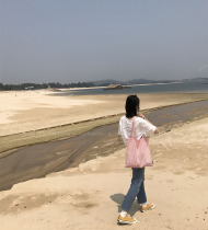 AL original homemade pink check cotton bag shoulder canvas bag Korean ins wind 2021 new summer versatile womens bag