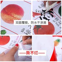 A full set of stickers Digital visual table formula letters New learning wall chart silent childrens Pinyin wall hanging