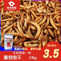 Bread Worm Dry 50g Yellow Pink Dried Trophic Protein Hamster Zero Food Turtle Bird Fish Gold Silk Bear Main Grain Hamster supplies