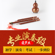 Sen Bird brand ABS bakelite imitation wood grain gourd silk drop b c tone beginner playing instrument 232