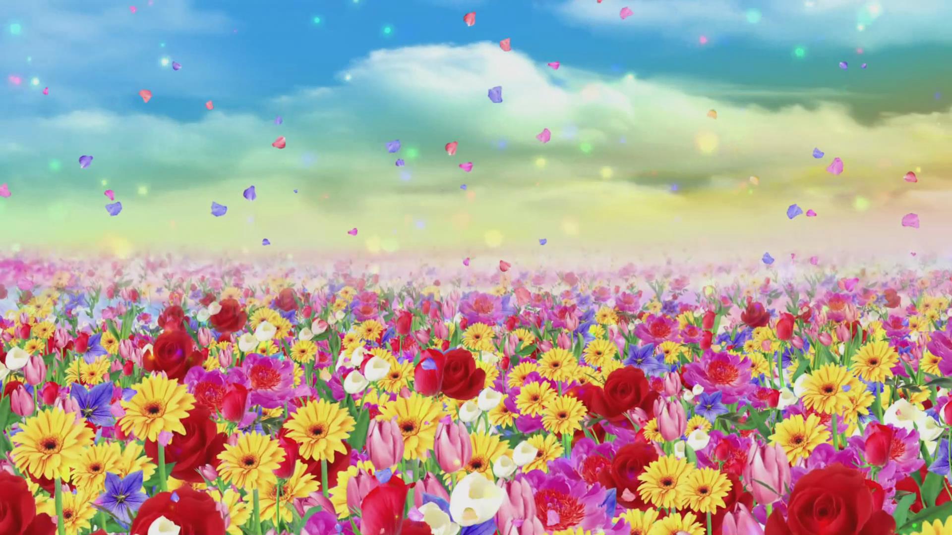 青春舞曲 新疆民族 歌曲舞蹈 led大屏幕背景视频舞美屏幕背投片源