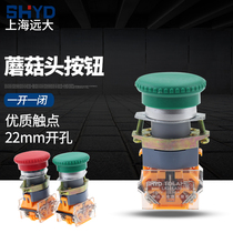 Shanghai lofty LA39-11M grinding mushroom button switch on a closed grinding mushroom head