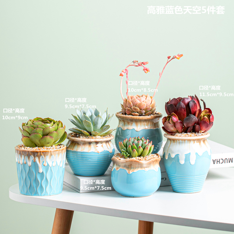 More meat pot basin of high creative move meat meat the plants large combination suit coarse pottery breathable fleshy flower pot