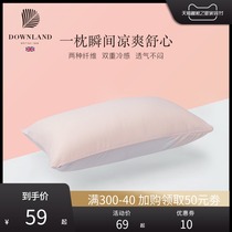 Downland cold-feeling pillowcase cotton European high-grade pillow liner for childrens pillowcase cotton soft pair