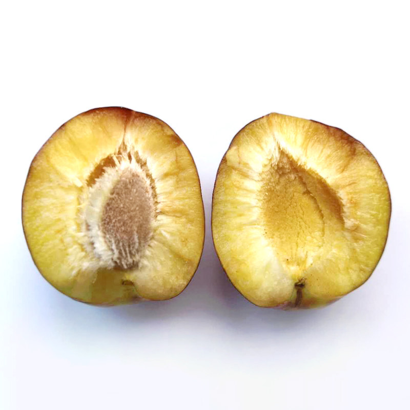 种植 不打药不催熟2019年新 正宗东北桃李 干核干碗李子生鲜储存温度