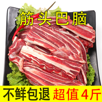 Tendon head and brain beef 4 kg beef tendon boning freshly killed beef strips Fine-tuned fresh beef tender supermarket quality