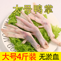 Big duck paw fresh 4 kg duck claws Fresh duck feet Duck neck duck head duck wings Duck goods braised shabu-shabu pot side dishes Ingredients