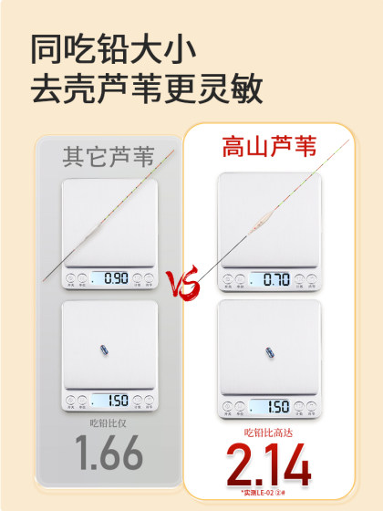 chuanze 리드 물고기 부유물 부유물 부유 chuanze 리드 물고기 부유물 부유물 부유