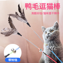 Cat Supplies Cat Toys Cat rabbit hair ball Mouse type Cat toy Cat toy Cat toy Cat toy Cat toy Cat toy Cat toy Cat toy Cat toy Cat toy Cat toy Cat toy Cat toy Cat toy Cat toy Cat toy Cat toy Cat toy Cat toy