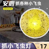 Small flying insect killing artifact sticky insect extermination lamp moth sticking moth Midge indoor fly mosquito trap insect board