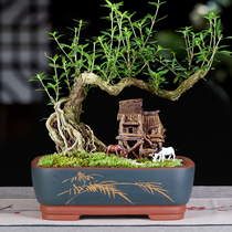 Sifang purple flower pot extra large indoor balcony rectangular purple sand bonsai basin old pile rockery ceramic bonsai Basin